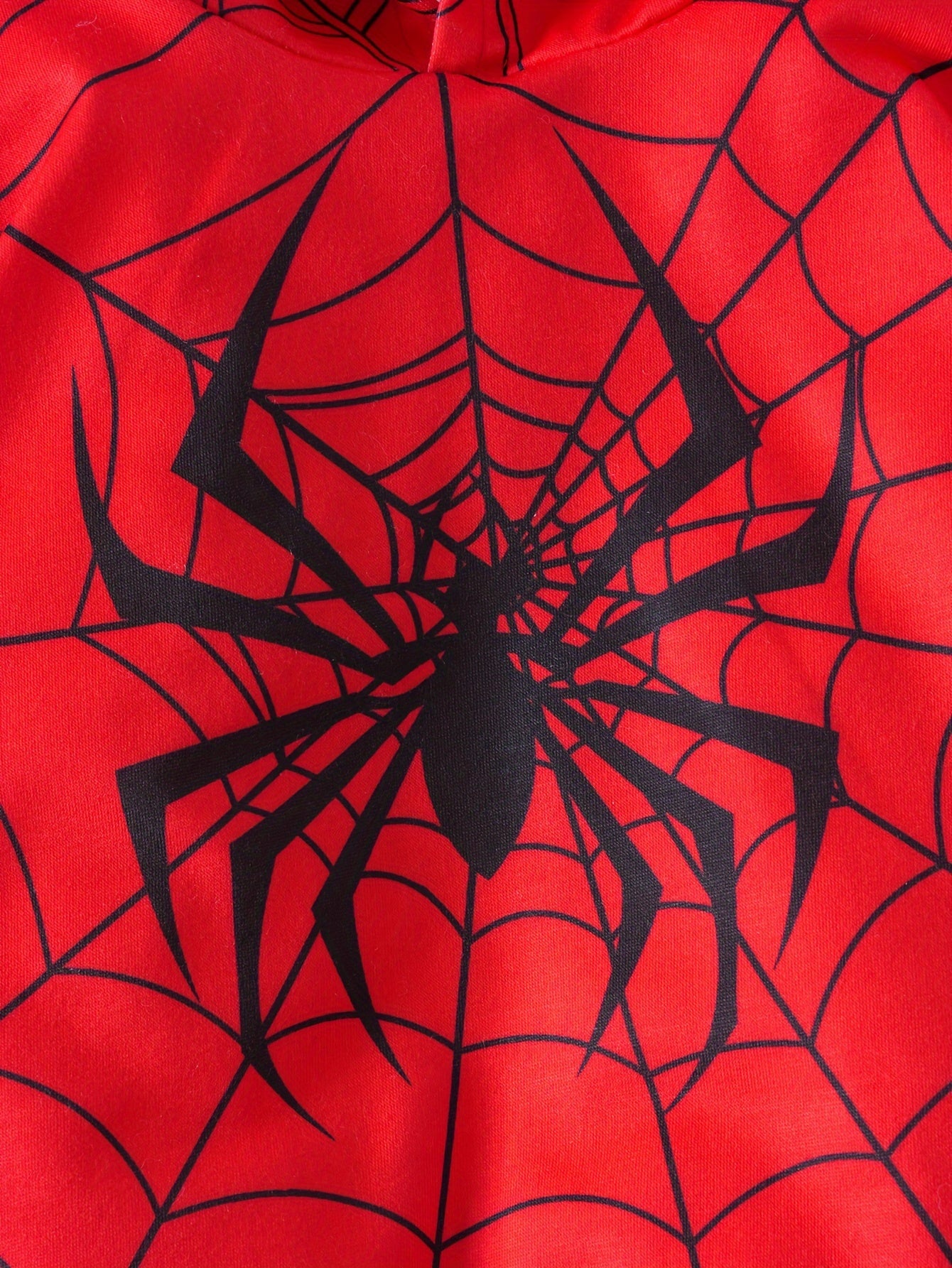 Boy's Spider Print Hooded Long Sleeve Sweatshirt And Pants Set –