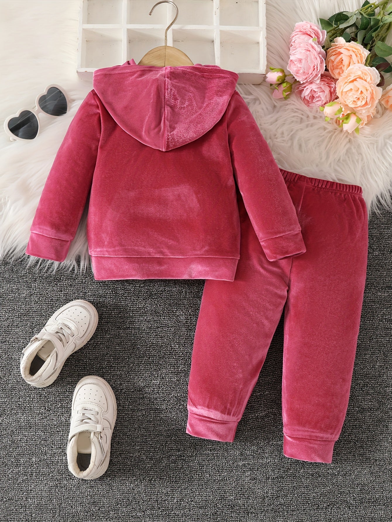 Baby Girls 2pcs Hooded Casual Long Sleeve Pants Set
