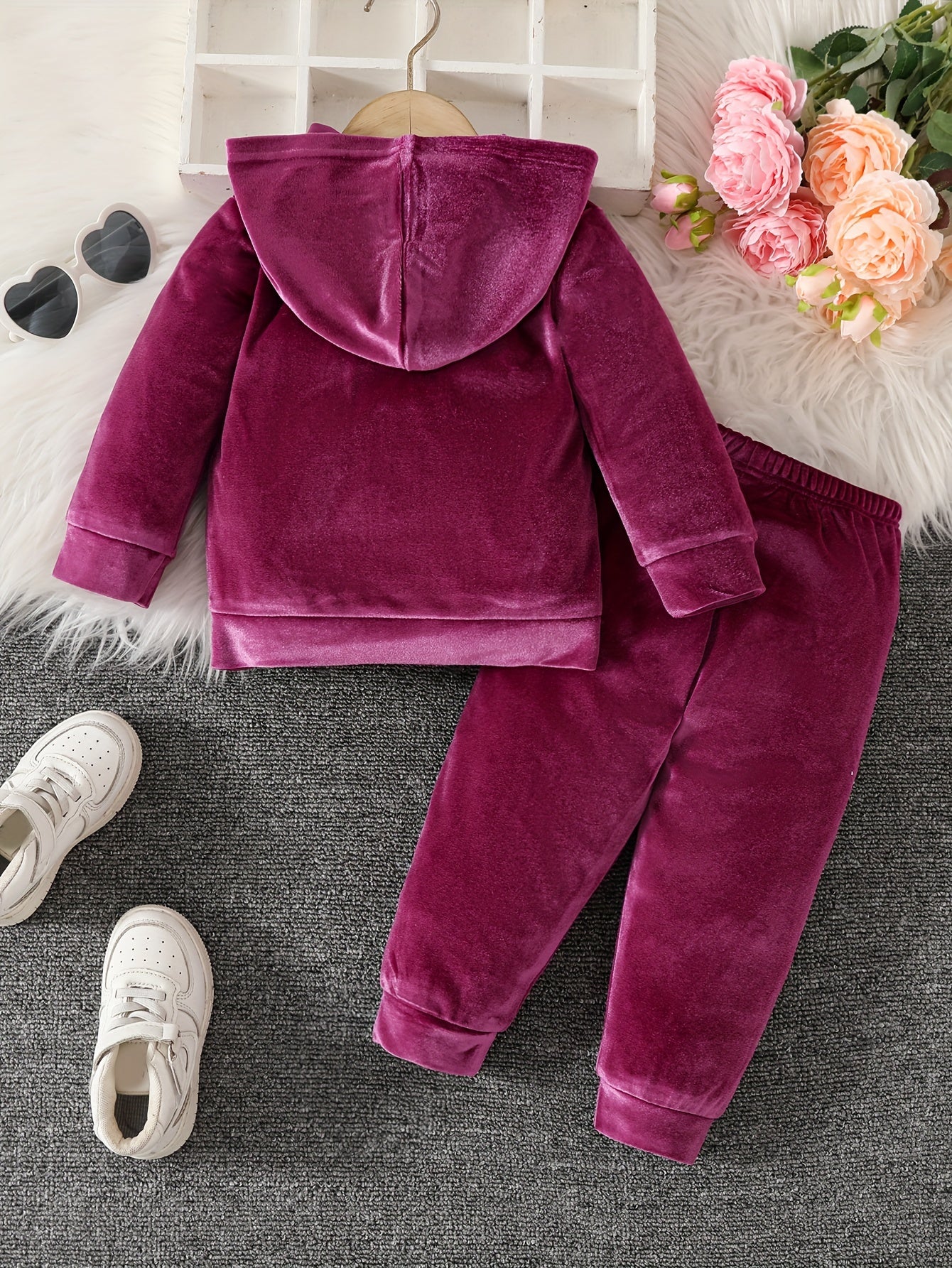 Baby Girls 2pcs Hooded Casual Long Sleeve Pants Set