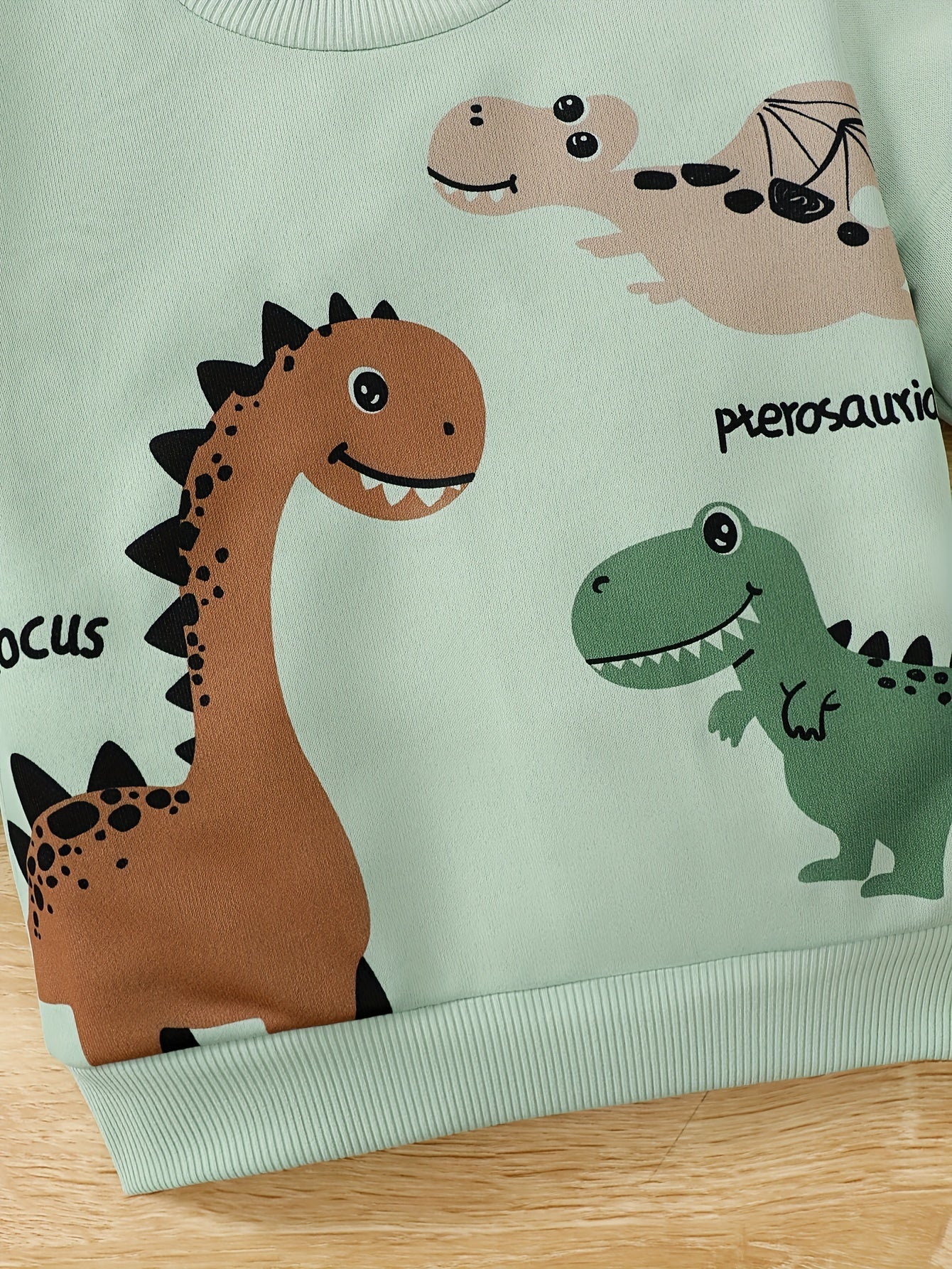 2pcs Baby's Cartoon Dinosaur Print Sweatshirt & Casual Jeans,